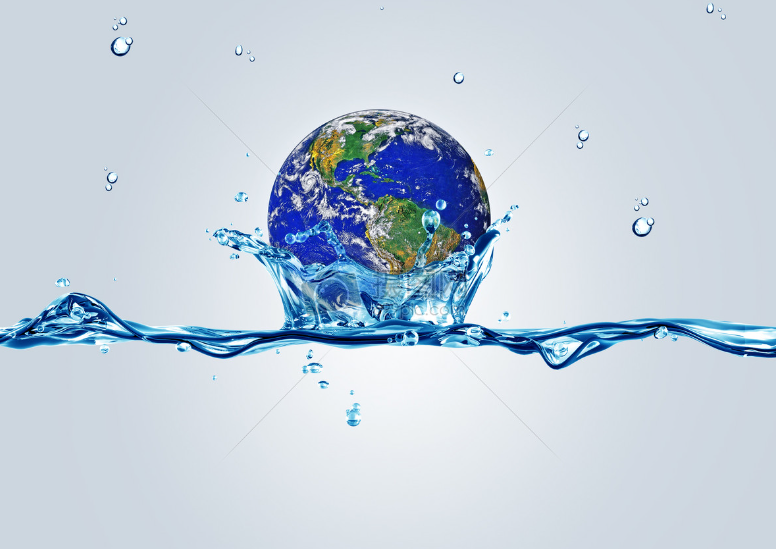 康麗根.png 康麗根.png