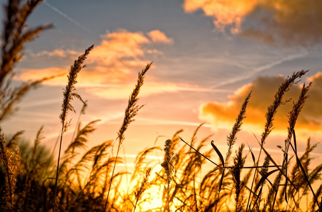 88_看圖王.png 88_看圖王.png